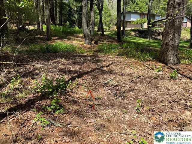a view of a park with tree s