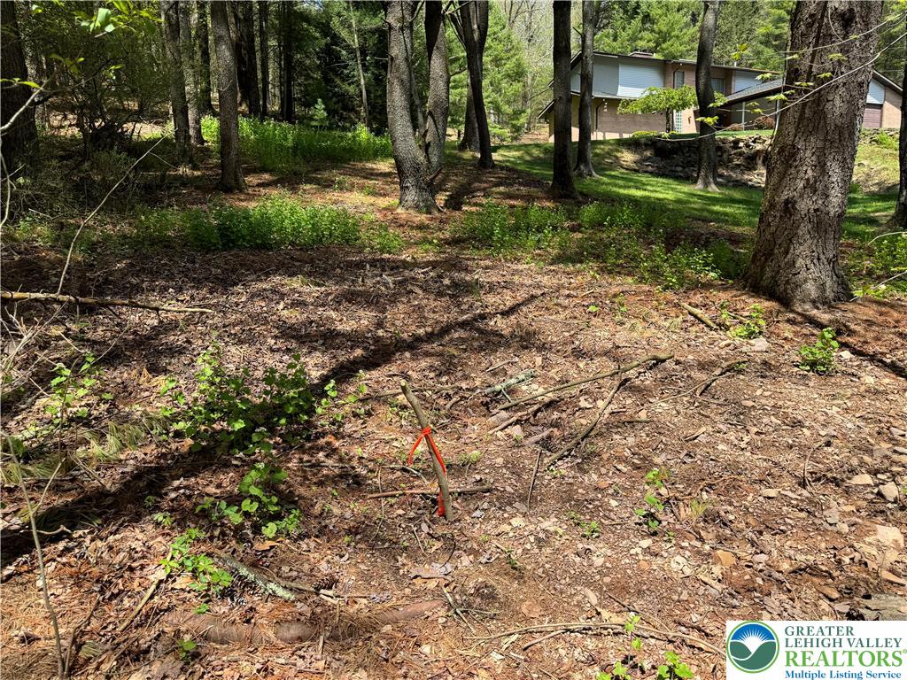 2 Haney Road Kunkletown, PA 18058 - Photo 8 of 12 a view of a park with tree s
