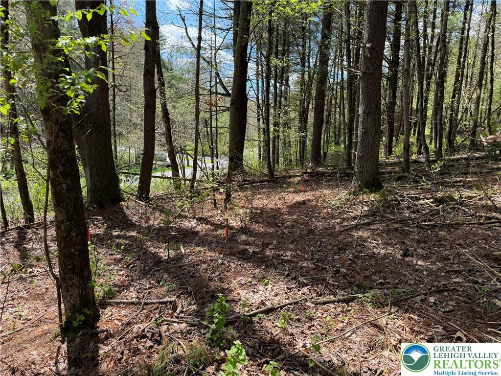 2 Haney Road Kunkletown, PA 18058 - Photo 9 of 12 a view of outdoor space with lots of trees