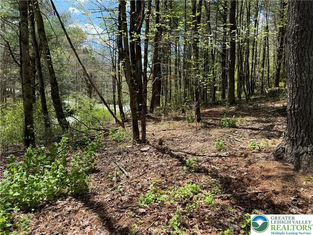 a view of outdoor space with trees
