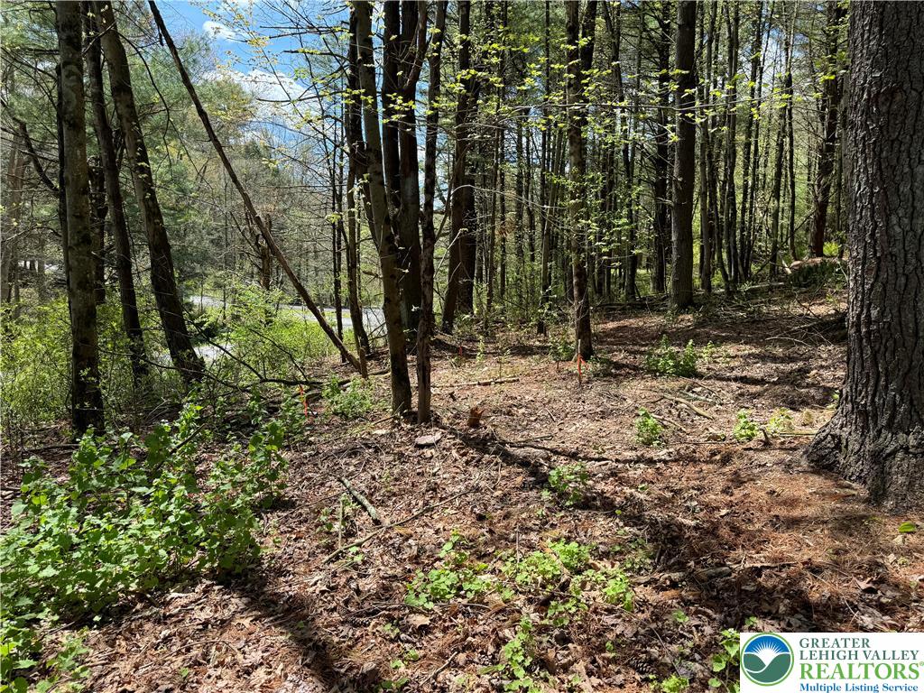 2 Haney Road Kunkletown, PA 18058 - Photo 10 of 12 a view of outdoor space with trees