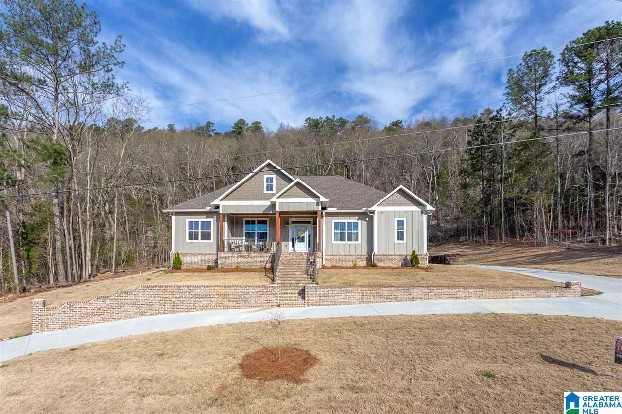 135 Christy Lane Oneonta, AL 35121 - Photo 3 of 43