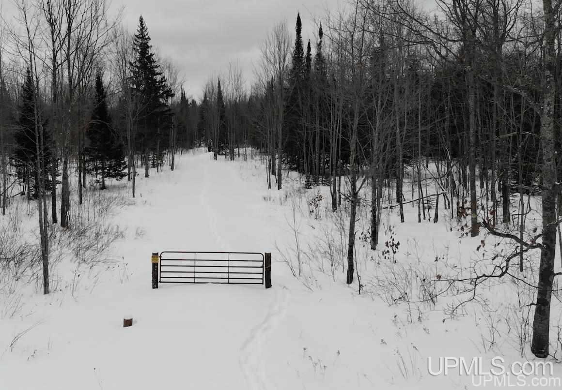 Tbd Old Rink Road Toivola, MI 49965 - Photo 5 of 31 Gallery Image 5