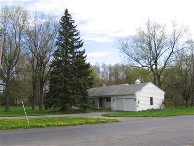 Primary Photo