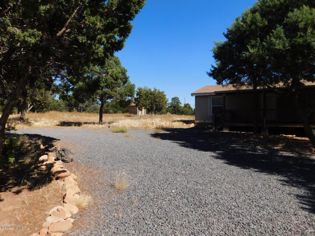 3687 Green Forest Drive Overgaard, AZ 85933 - Photo 2 of 17