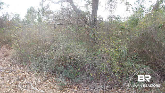 0 Highway 113 Brewton, AL 36426 - Photo 4 of 13