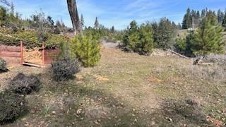 8066 Old Emigrant Trail Mountain Ranch, CA 95245 - Photo 1 of 7