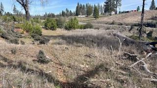 8066 Old Emigrant Trail Mountain Ranch, CA 95245 - Photo 2 of 7