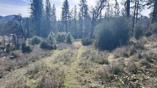 8066 Old Emigrant Trail Mountain Ranch, CA 95245 - Photo 3 of 7