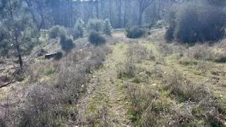 $89,000 | 8066 Old Emigrant Trail, Mountain Ranch, CA 95245