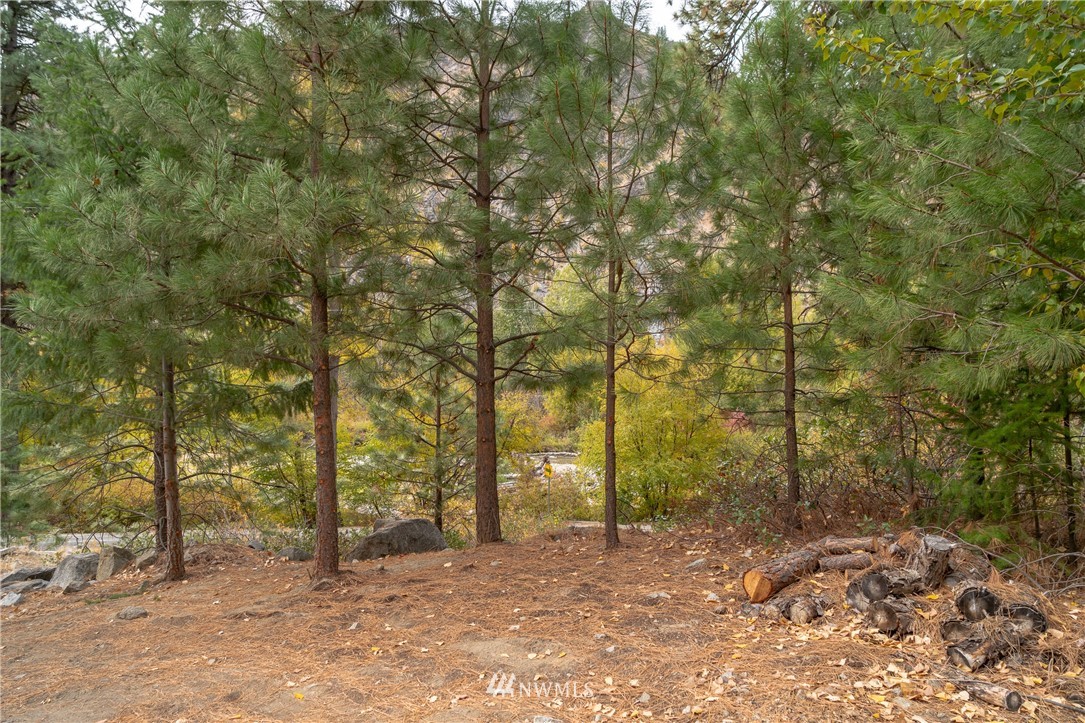 13100 Entiat River Road Entiat, WA 98822 - Photo 36 of 39 Gallery Image 36