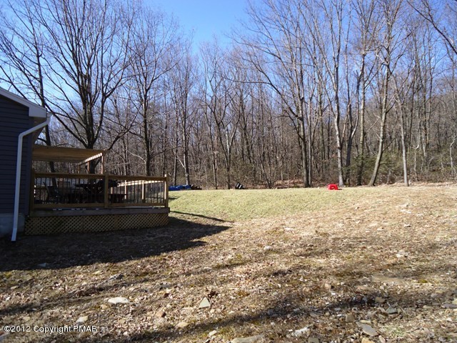 1415 Davids Road Effort, PA 18330 - Photo 32 of 35 a view of yard covered with trees