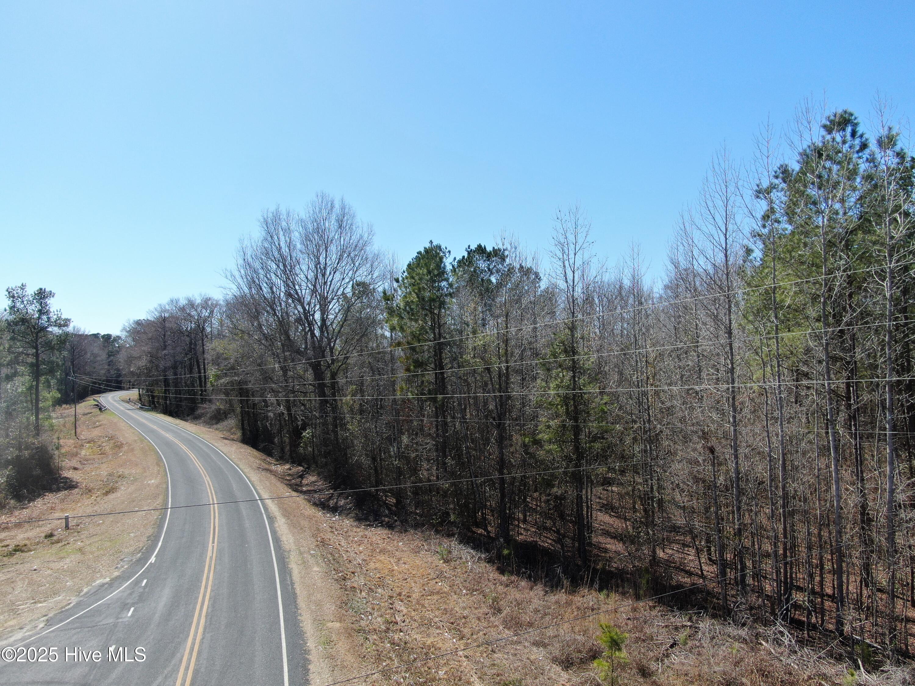 Tbd Gum Shaw Road White Oak, NC 28399 - Photo 12 of 33 DJI_0614