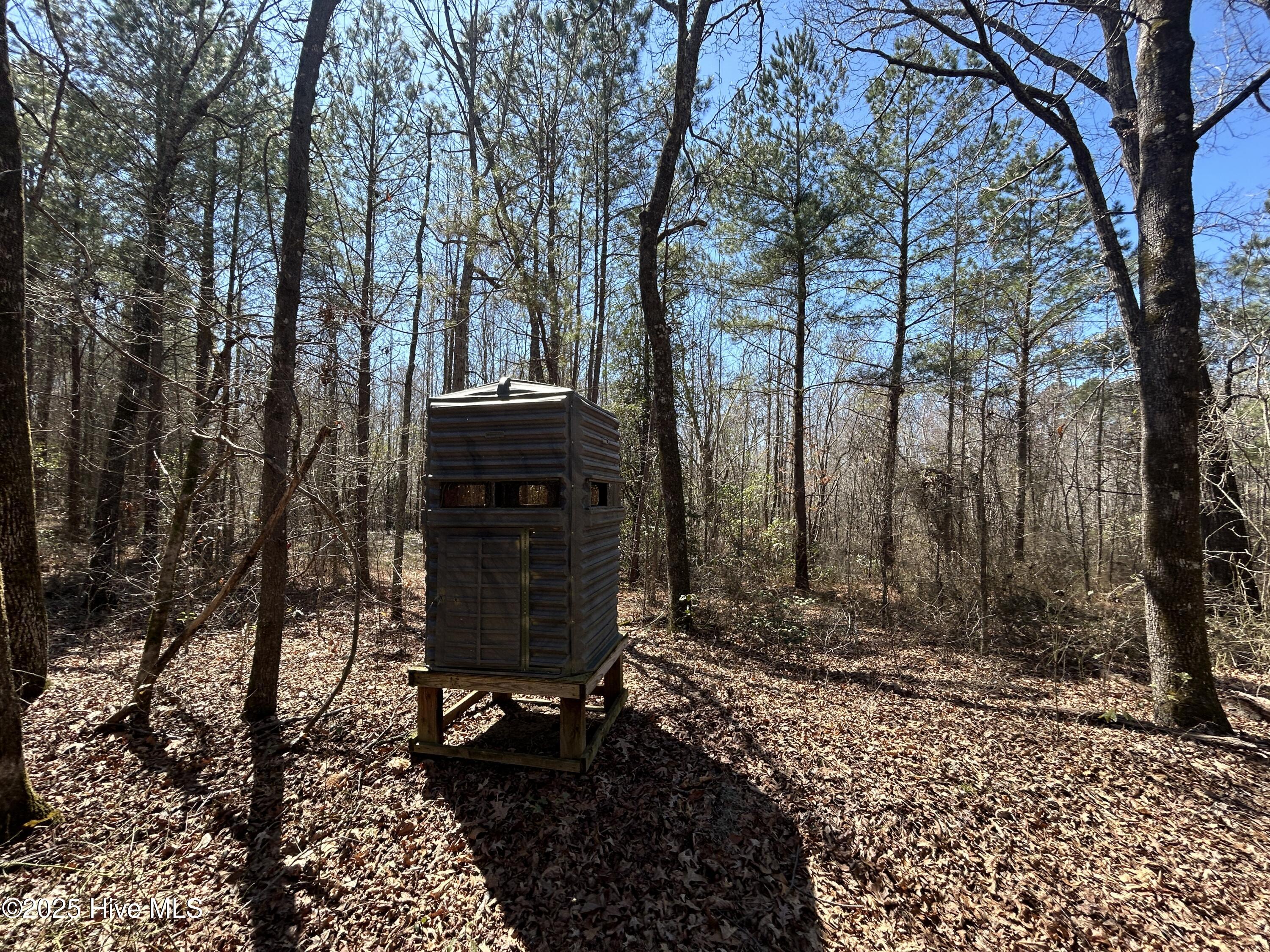 Tbd Gum Shaw Road White Oak, NC 28399 - Photo 24 of 33 IMG_2489