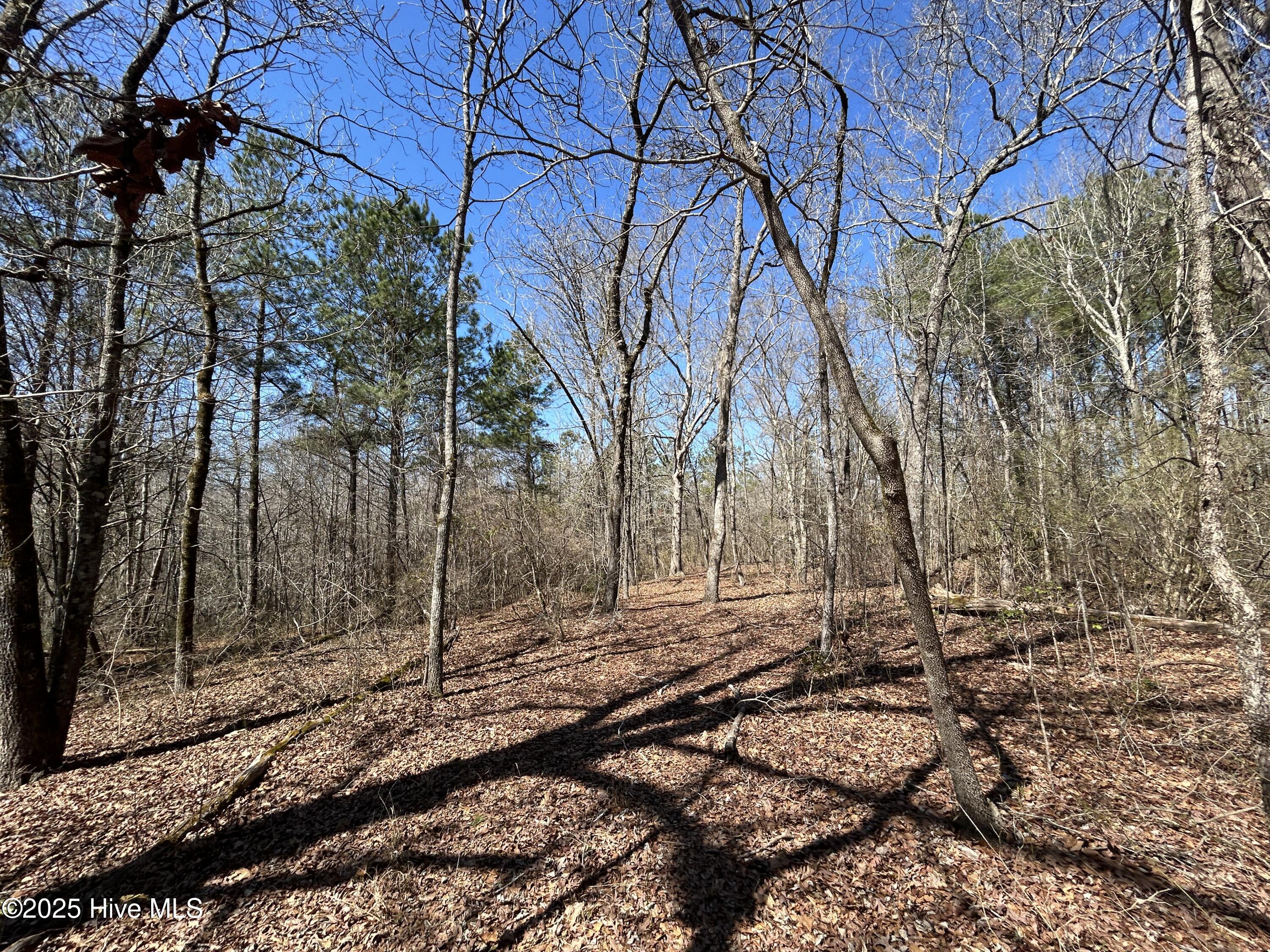 Tbd Gum Shaw Road White Oak, NC 28399 - Photo 25 of 33 IMG_2492