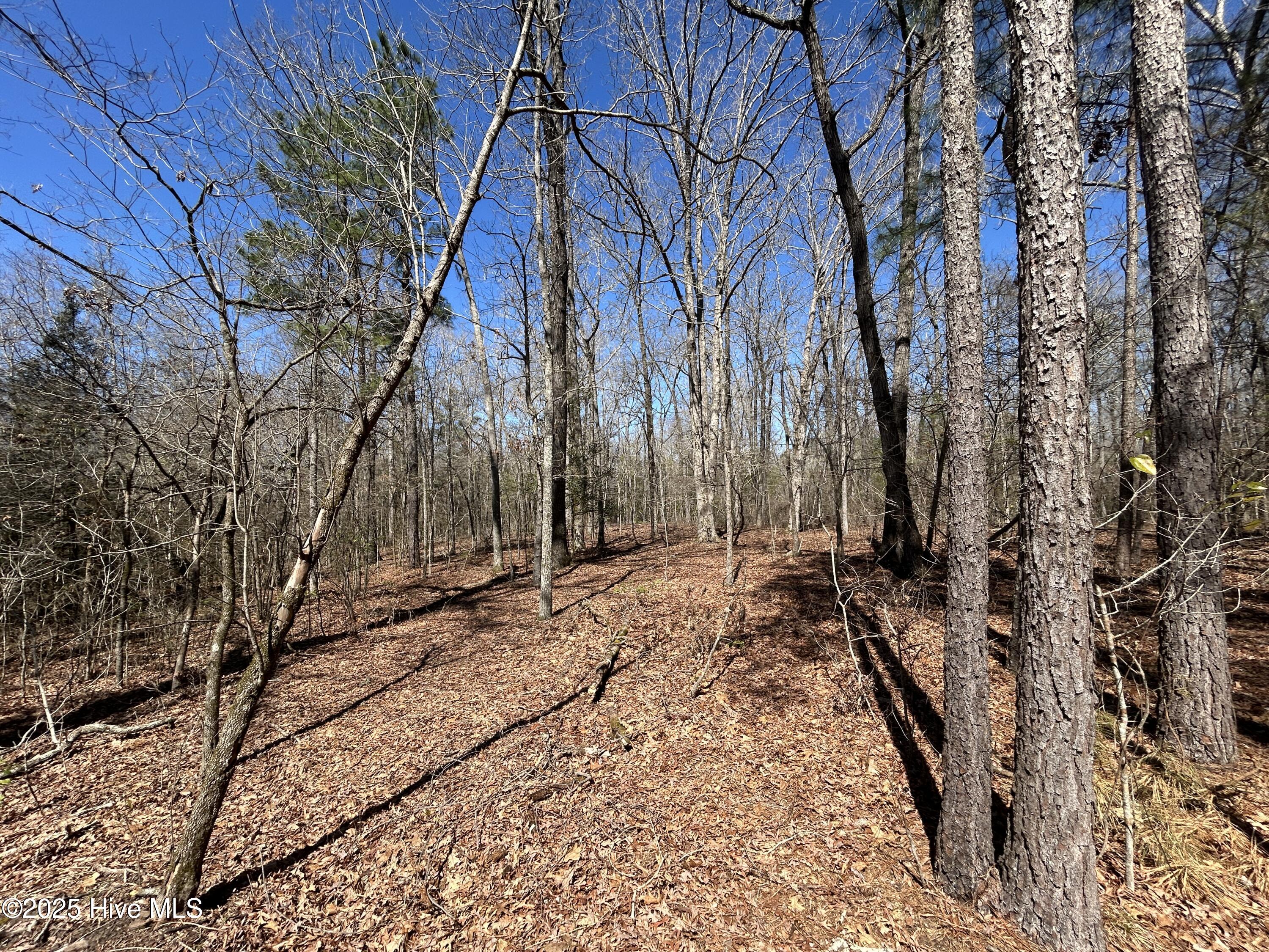 Tbd Gum Shaw Road White Oak, NC 28399 - Photo 26 of 33 IMG_2493