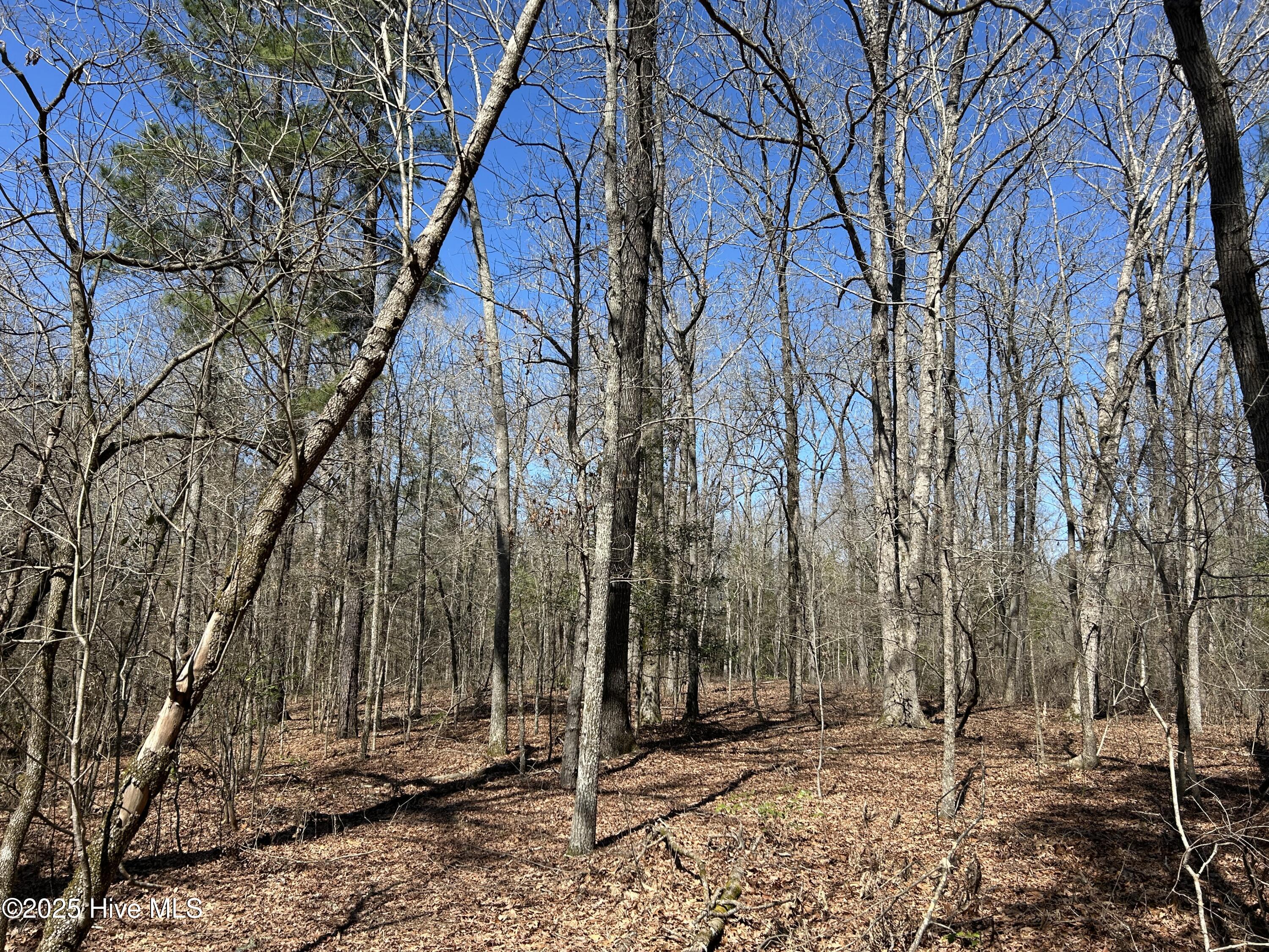 Tbd Gum Shaw Road White Oak, NC 28399 - Photo 27 of 33 IMG_2495
