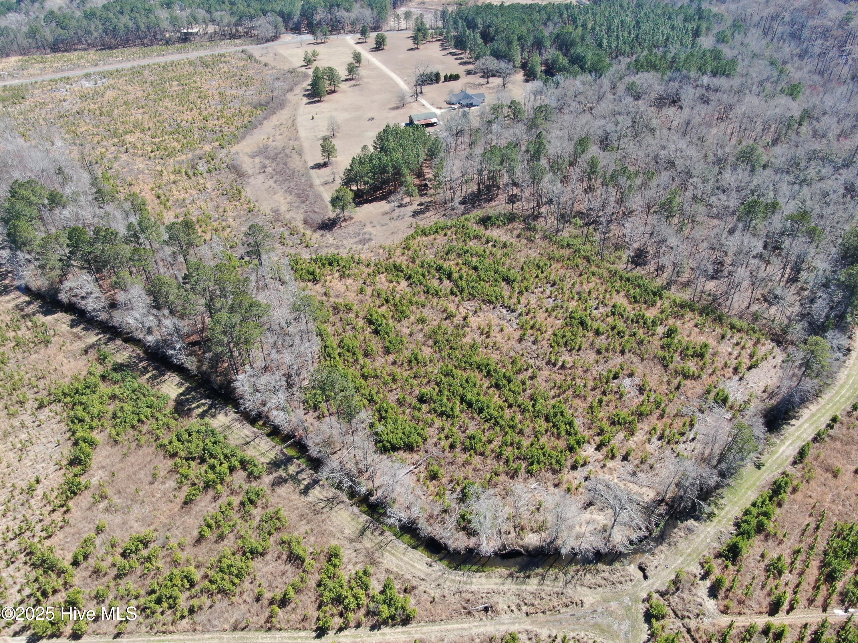 Tbd Gum Shaw Road White Oak, NC 28399 - Photo 3 of 33 DJI_0584