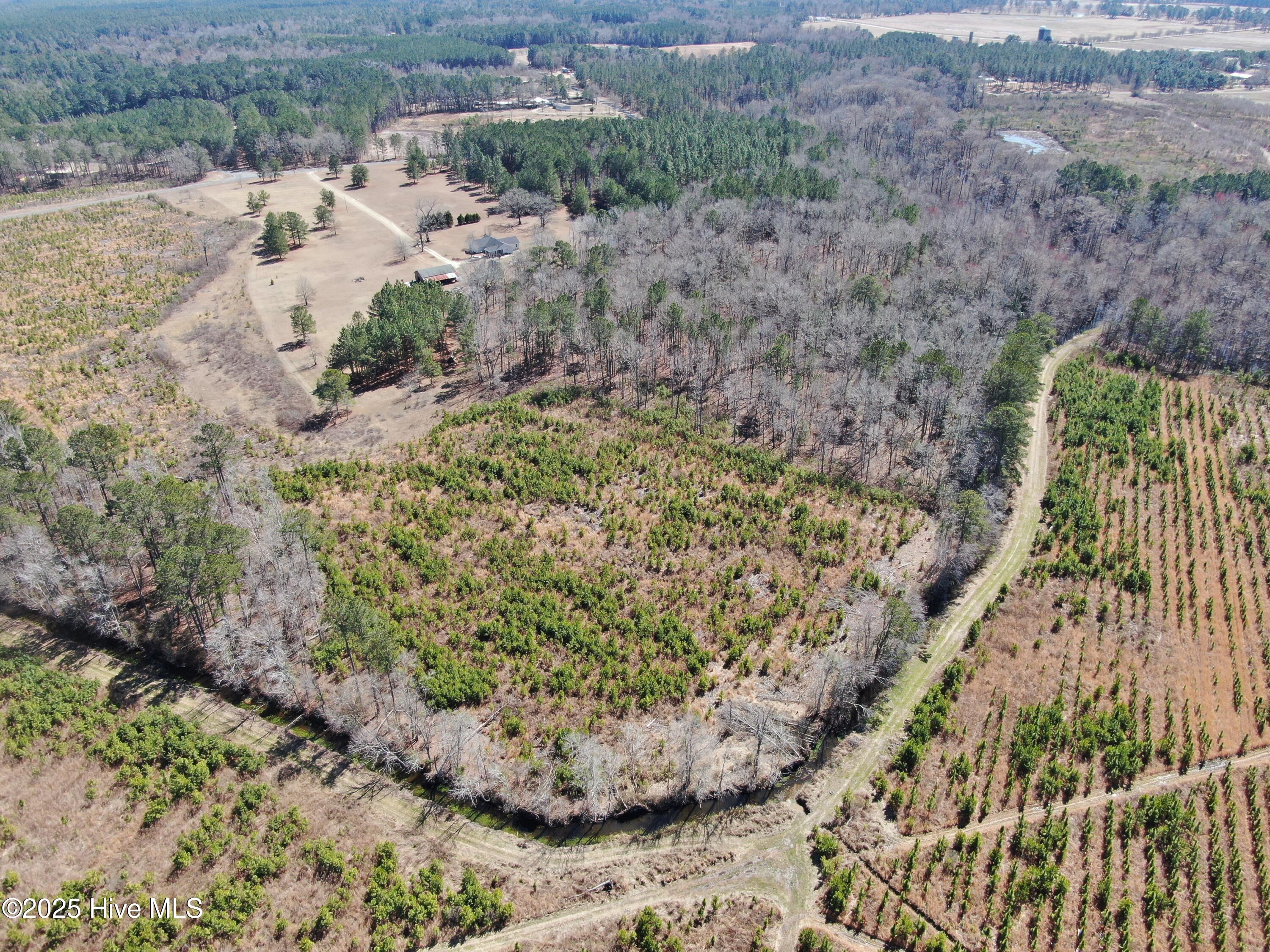Tbd Gum Shaw Road White Oak, NC 28399 - Photo 4 of 33 DJI_0586
