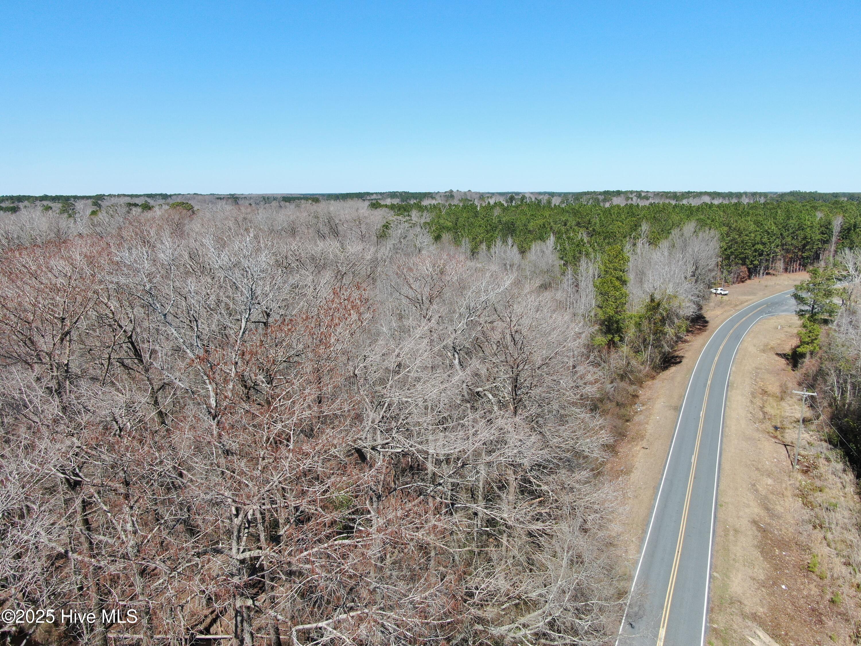 Tbd Gum Shaw Road White Oak, NC 28399 - Photo 5 of 33 DJI_0600