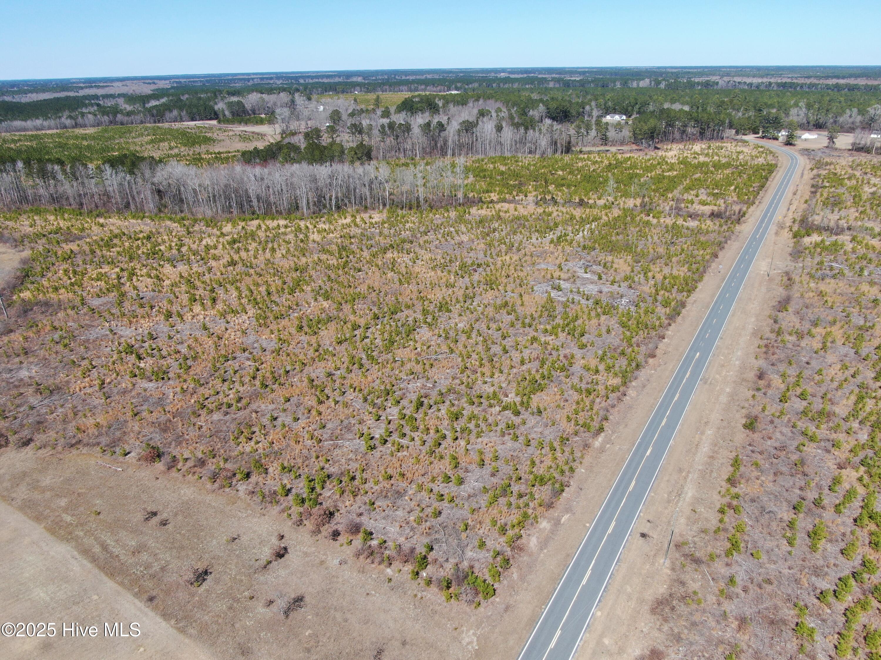 Tbd Gum Shaw Road White Oak, NC 28399 - Photo 9 of 33 DJI_0609