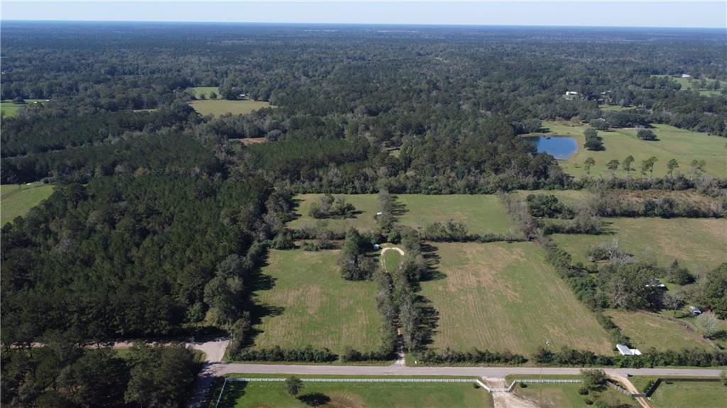 10.6-acres Barney Core Road Folsom, LA 70437 - Photo 3 of 8 Gallery Image 3