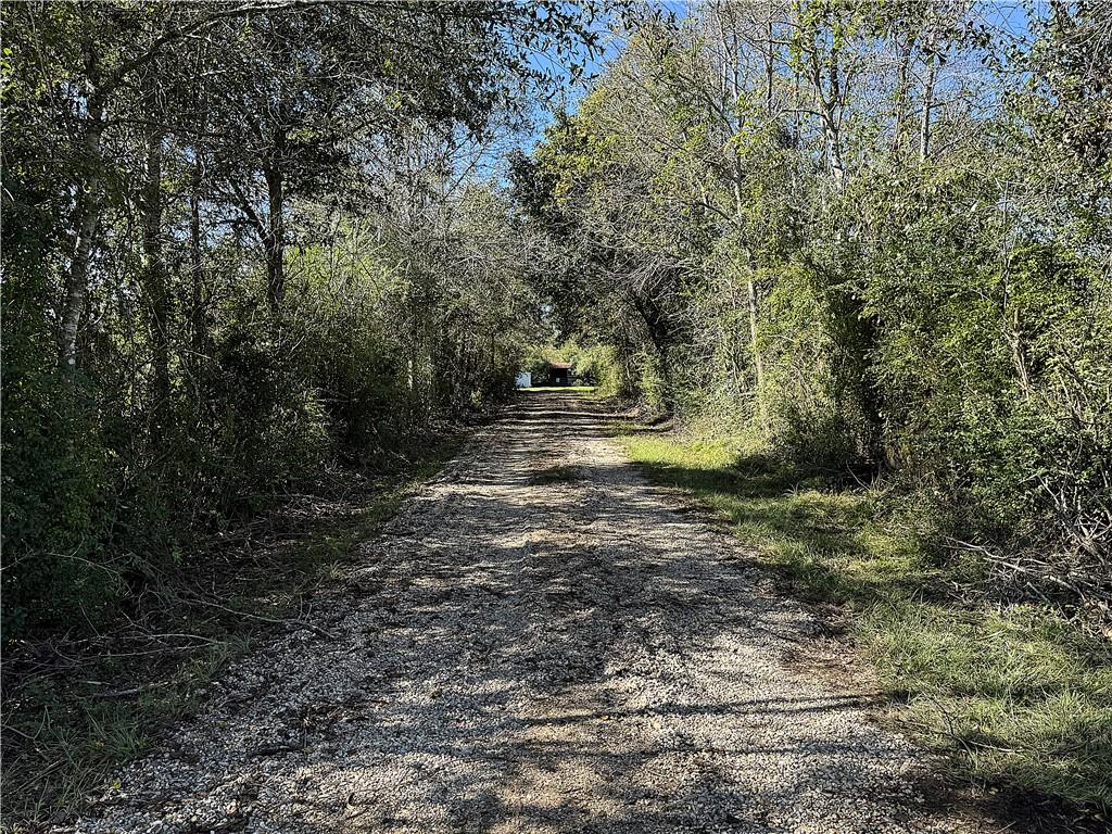 10.6-acres Barney Core Road Folsom, LA 70437 - Photo 4 of 8 Gallery Image 4