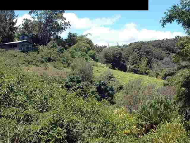 752 Kaupakalua Road Haiku, HI 96708 - Photo 11 of 25 Gallery Image 11