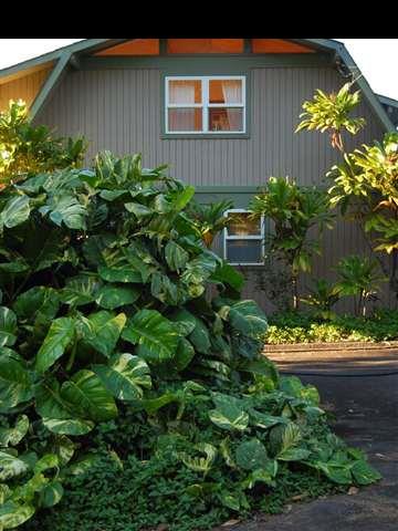 752 Kaupakalua Road Haiku, HI 96708 - Photo 20 of 25 Gallery Image 20