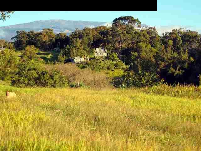 752 Kaupakalua Road Haiku, HI 96708 - Photo 23 of 25 Gallery Image 23