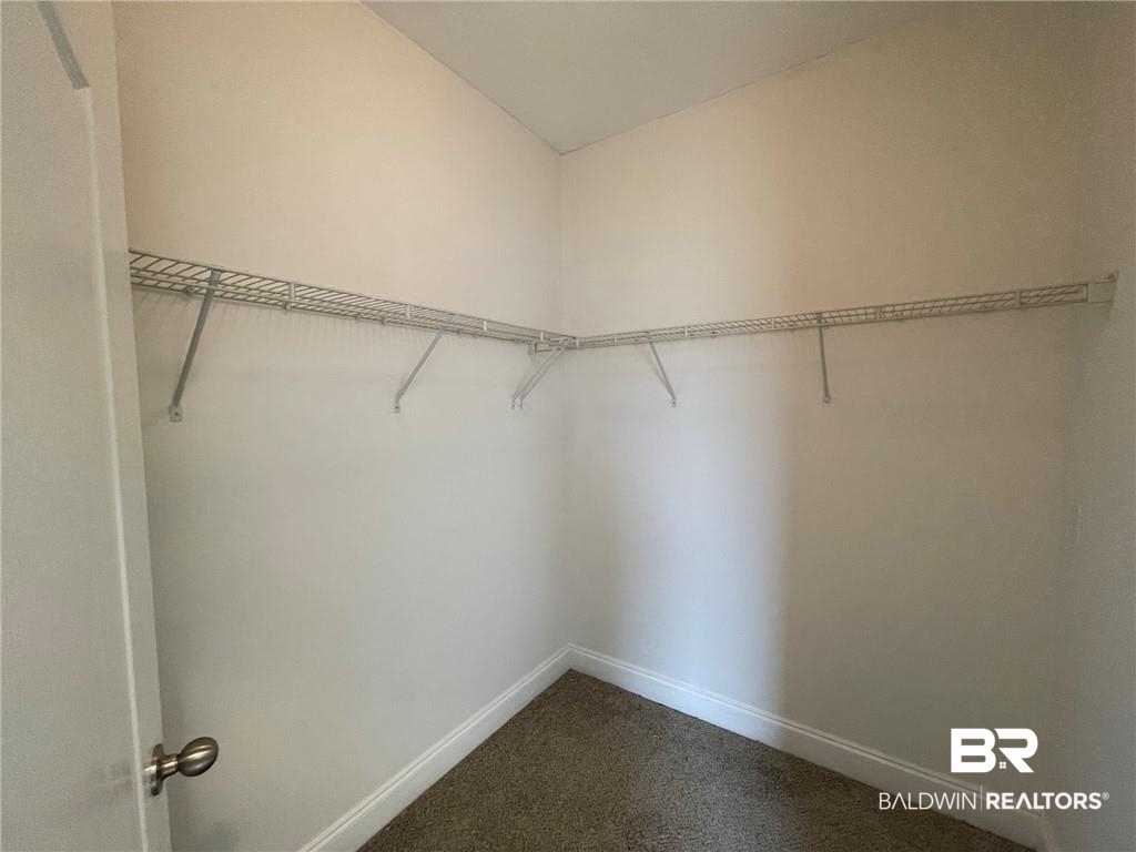10215 Hunters Trace South Mobile, AL 36608 - Photo 18 of 22 primary walk in closet