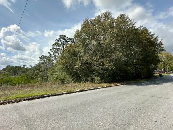 a view of outdoor space and yard