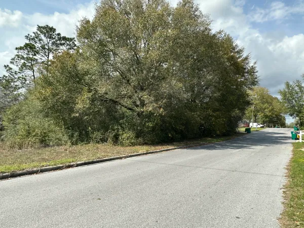 a view of a yard with a trees