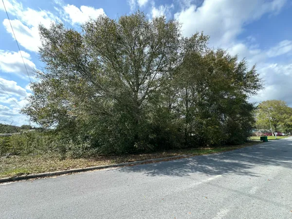 a view of a yard with plants and trees