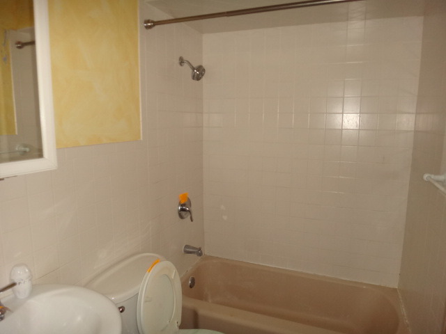 192 East Quincy Street Riverside, IL 60546 - Photo 7 of 11 a bathroom with a shower and toilet