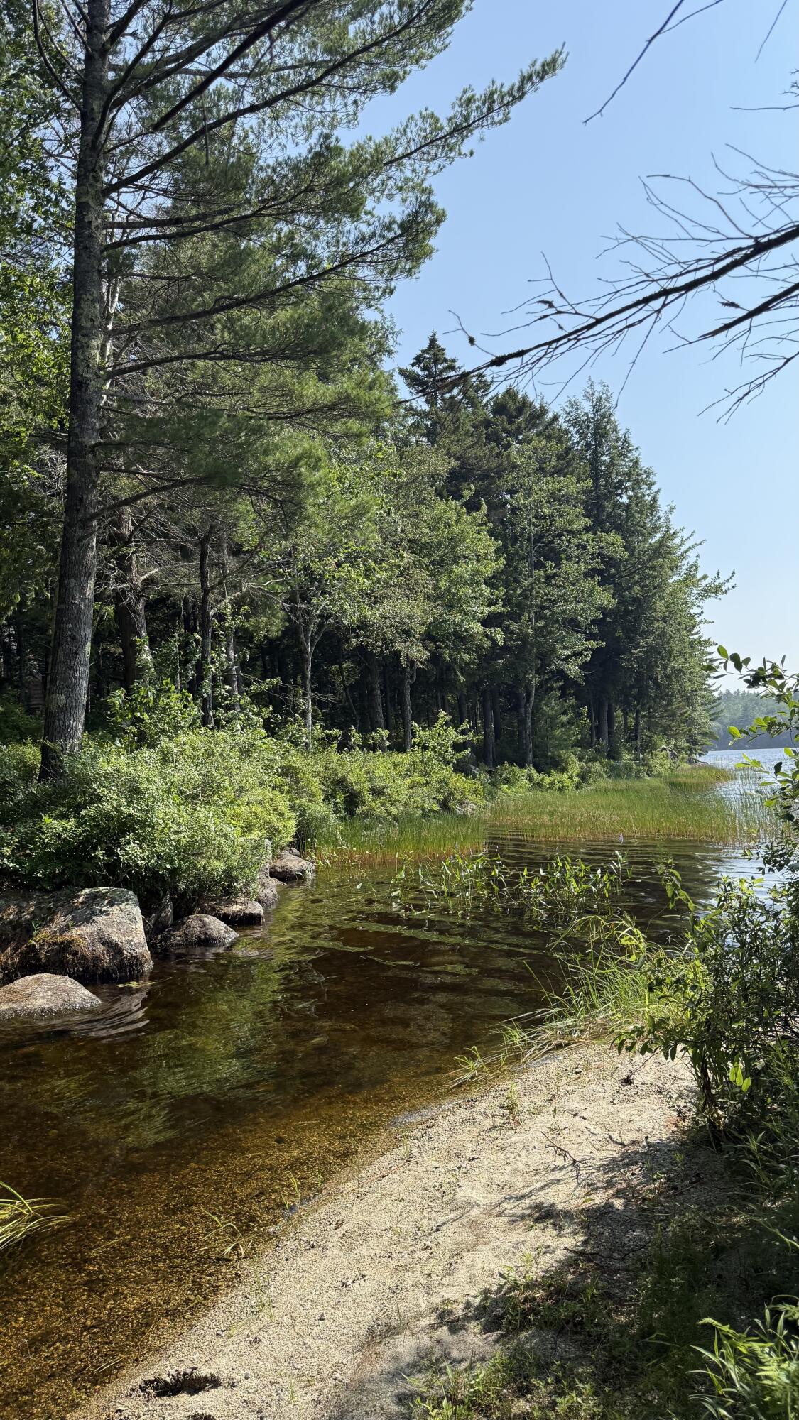 Lot #1 Bucksport Road Ellsworth, ME 04605 - Photo 3 of 9 Patton Pond