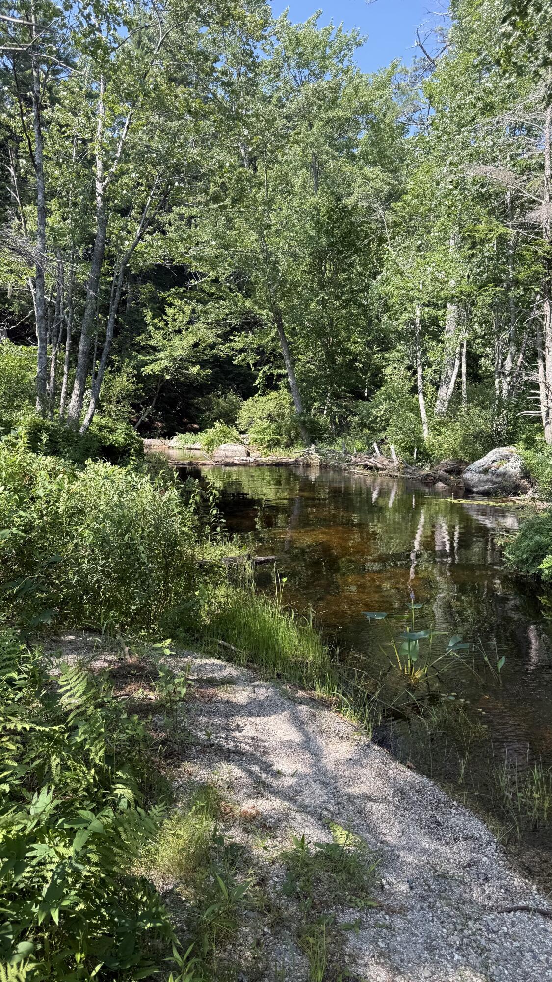 Lot #1 Bucksport Road Ellsworth, ME 04605 - Photo 4 of 9 Patton pond 1