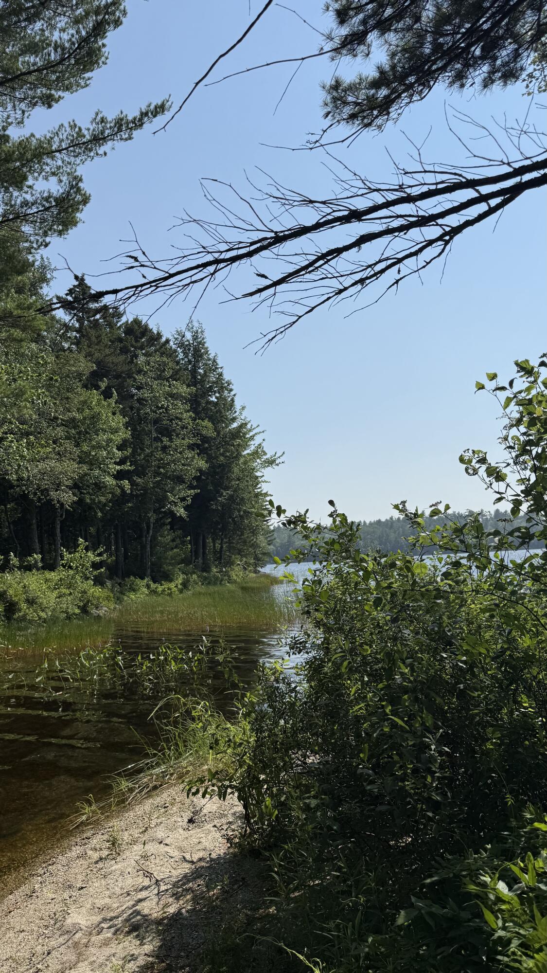 Lot #1 Bucksport Road Ellsworth, ME 04605 - Photo 5 of 9 Patton Pond (2)