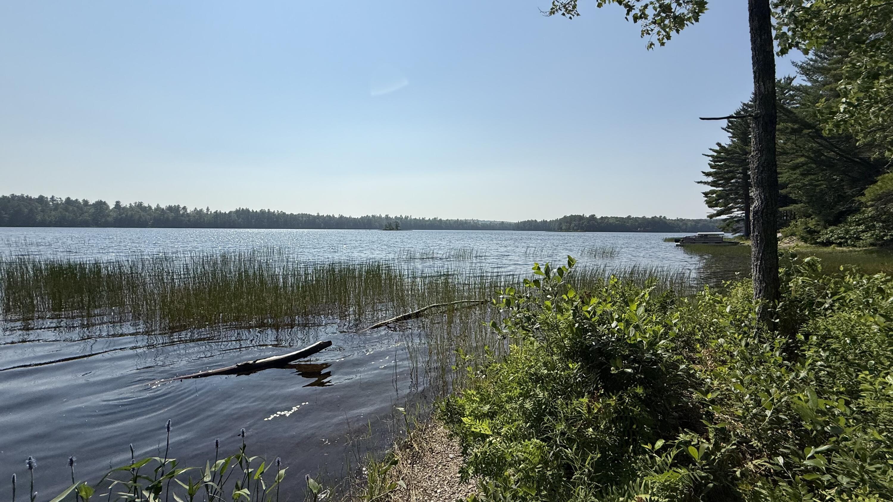 Lot #1 Bucksport Road Ellsworth, ME 04605 - Photo 7 of 9 Pond (2)
