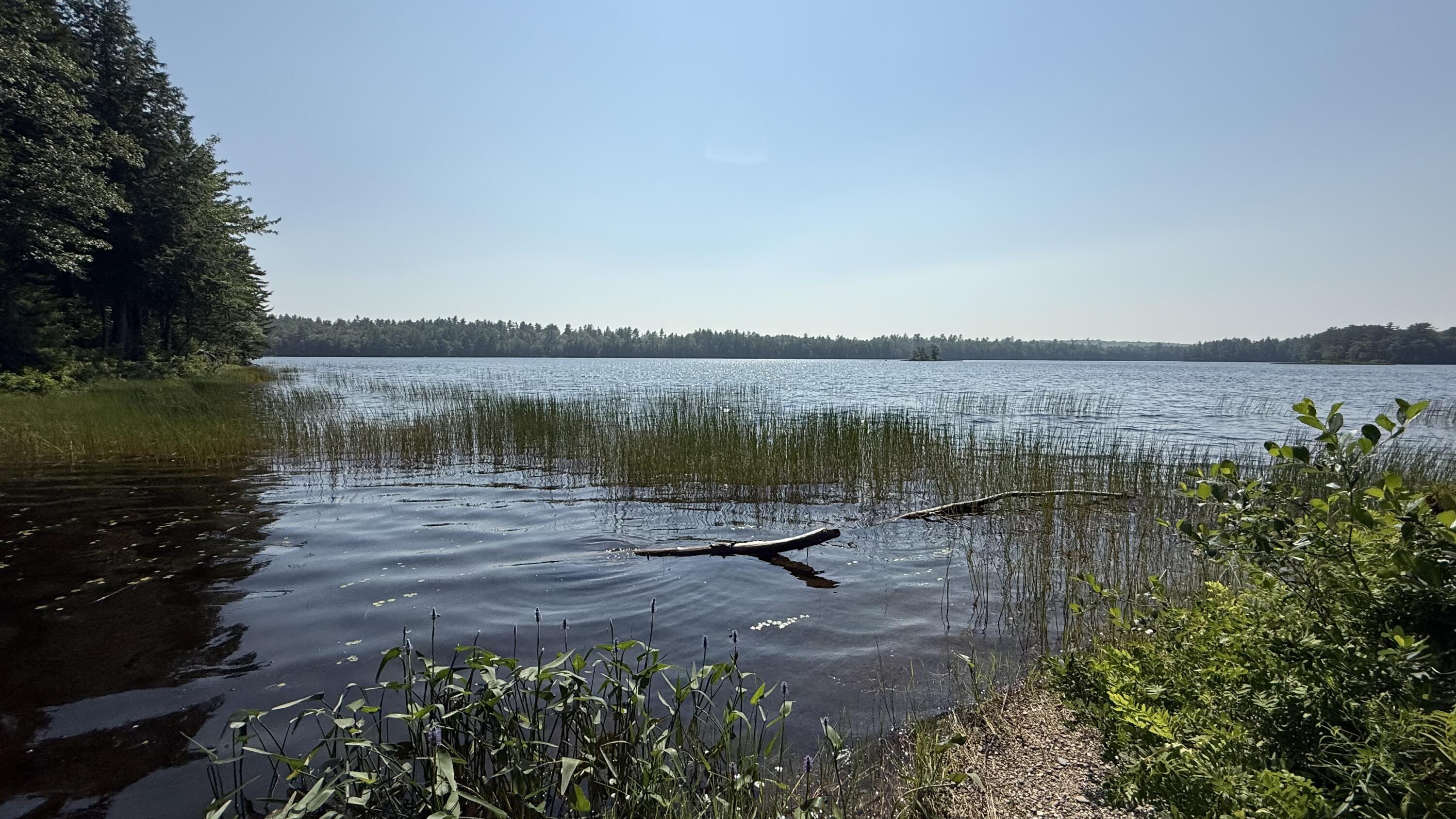 Lot #1 Bucksport Road Ellsworth, ME 04605 - Photo 8 of 9 Pond (3)