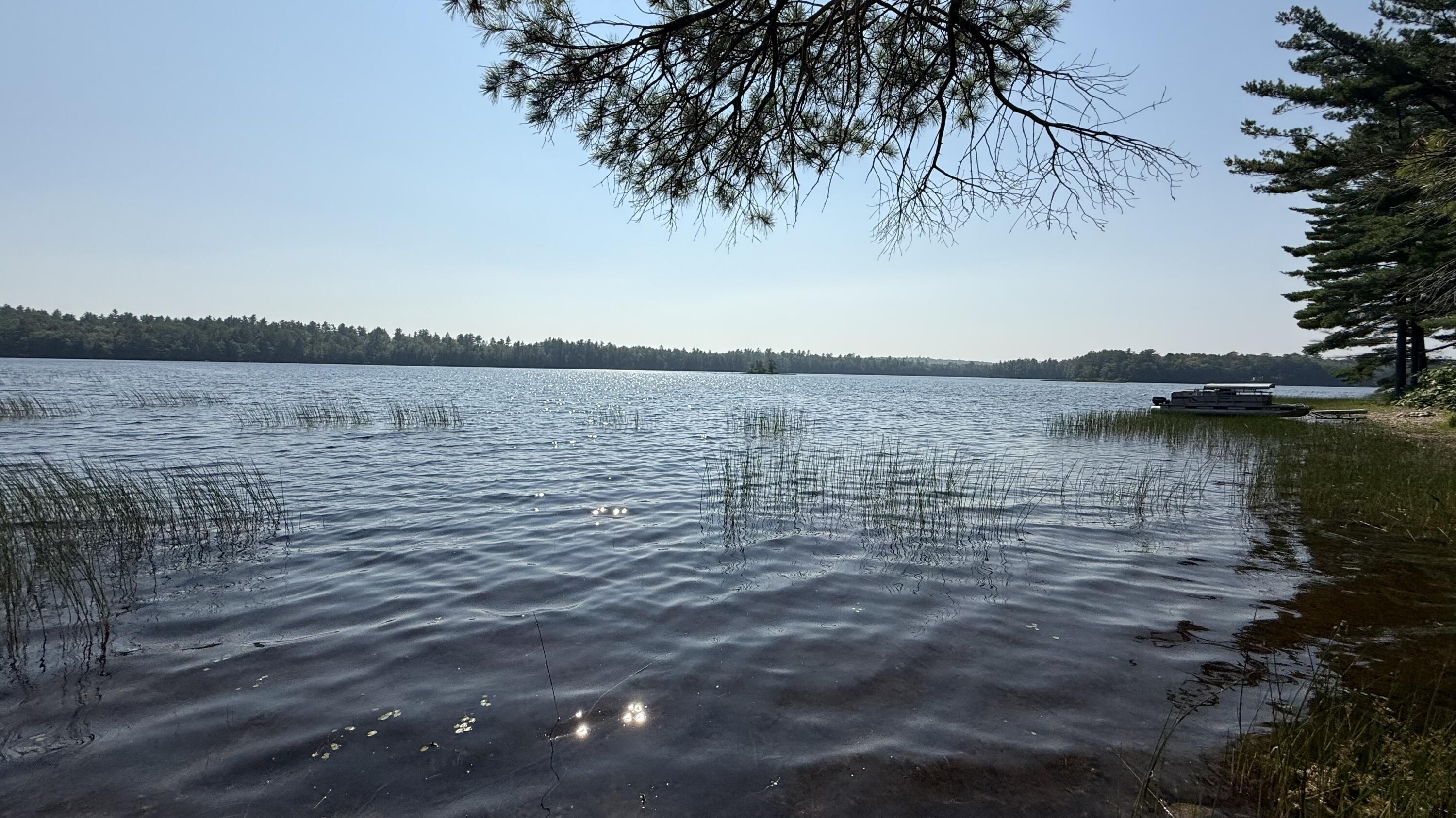 Lot #1 Bucksport Road Ellsworth, ME 04605 - Photo 9 of 9 Pond (5)