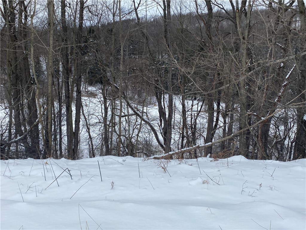 8470 Tabors Corner Road Wayland, NY 14572 - Photo 1 of 1 Gallery Image 1