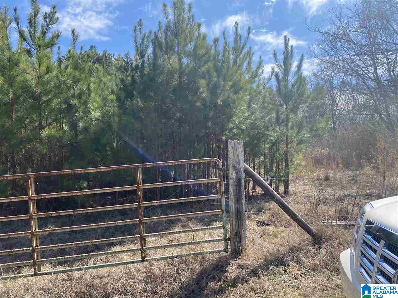 1560 Oren Miller Road, Unit 1 Warrior, AL 35180 - Photo 5 of 19