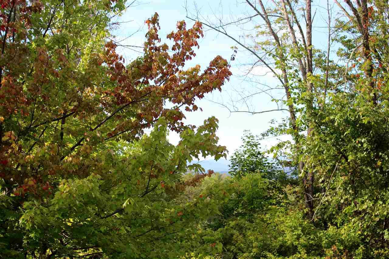 368 Granite Road Kerhonkson, NY 12446 - Photo 20 of 23 Photo 20