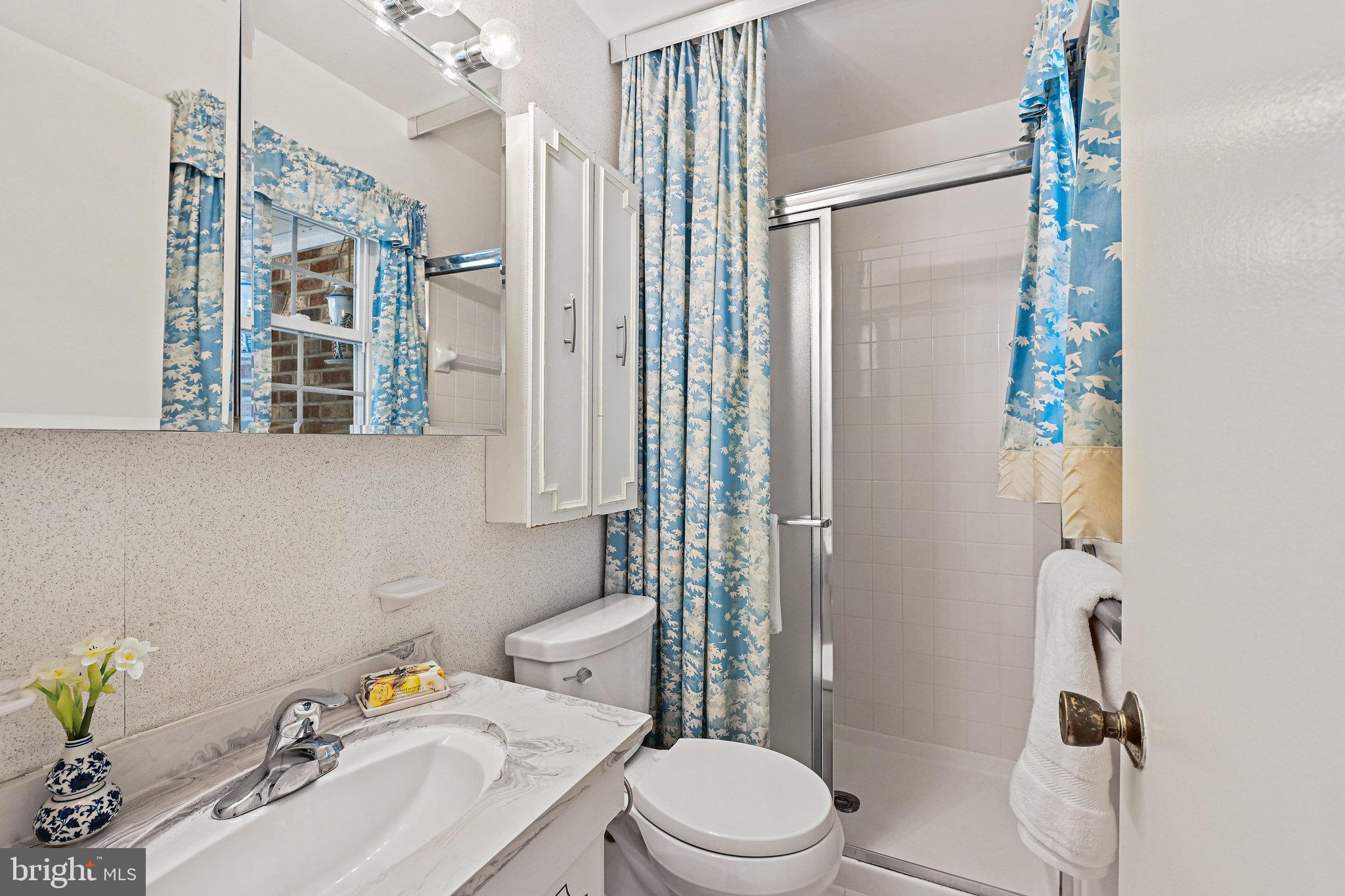 6702 Greenview Lane Springfield, VA 22152 - Photo 25 of 36 Primary Bathroom