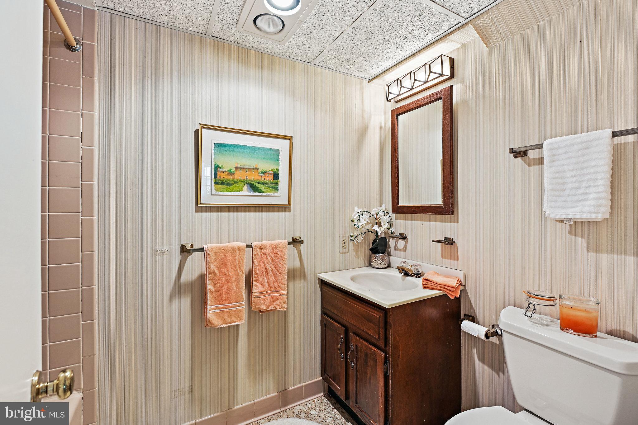 6702 Greenview Lane Springfield, VA 22152 - Photo 31 of 36 Lower Level Full Bathroom