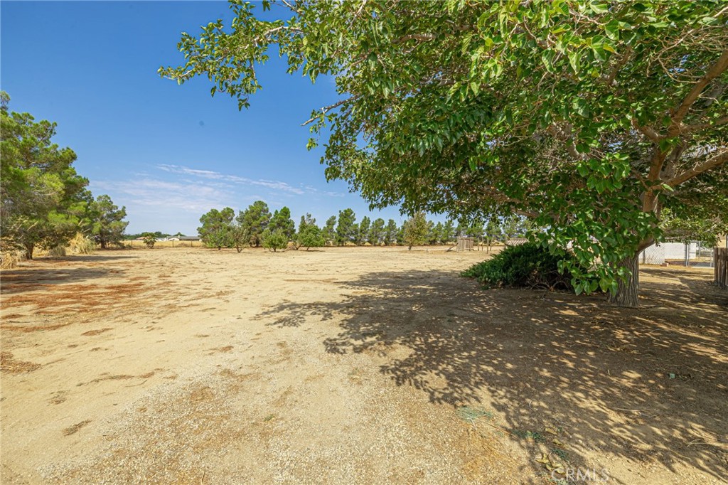 8541 West Ave D Lancaster, CA 93536 - Photo 5 of 62 a view of yard with green space and trees in the background