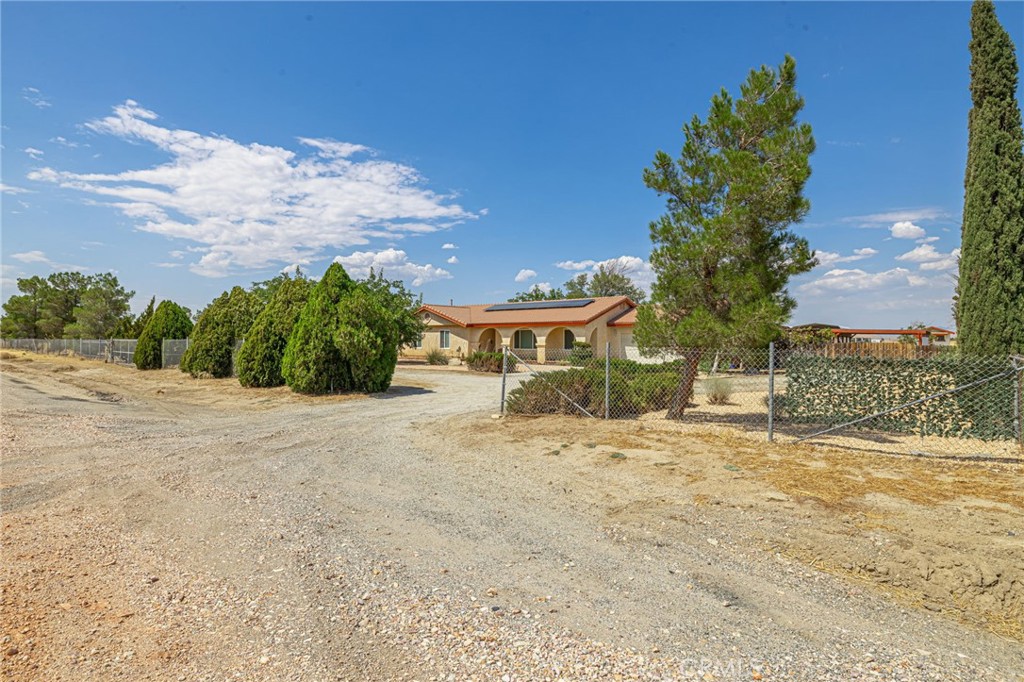 8541 West Ave D Lancaster, CA 93536 - Photo 7 of 62 a view of a dry yard with trees