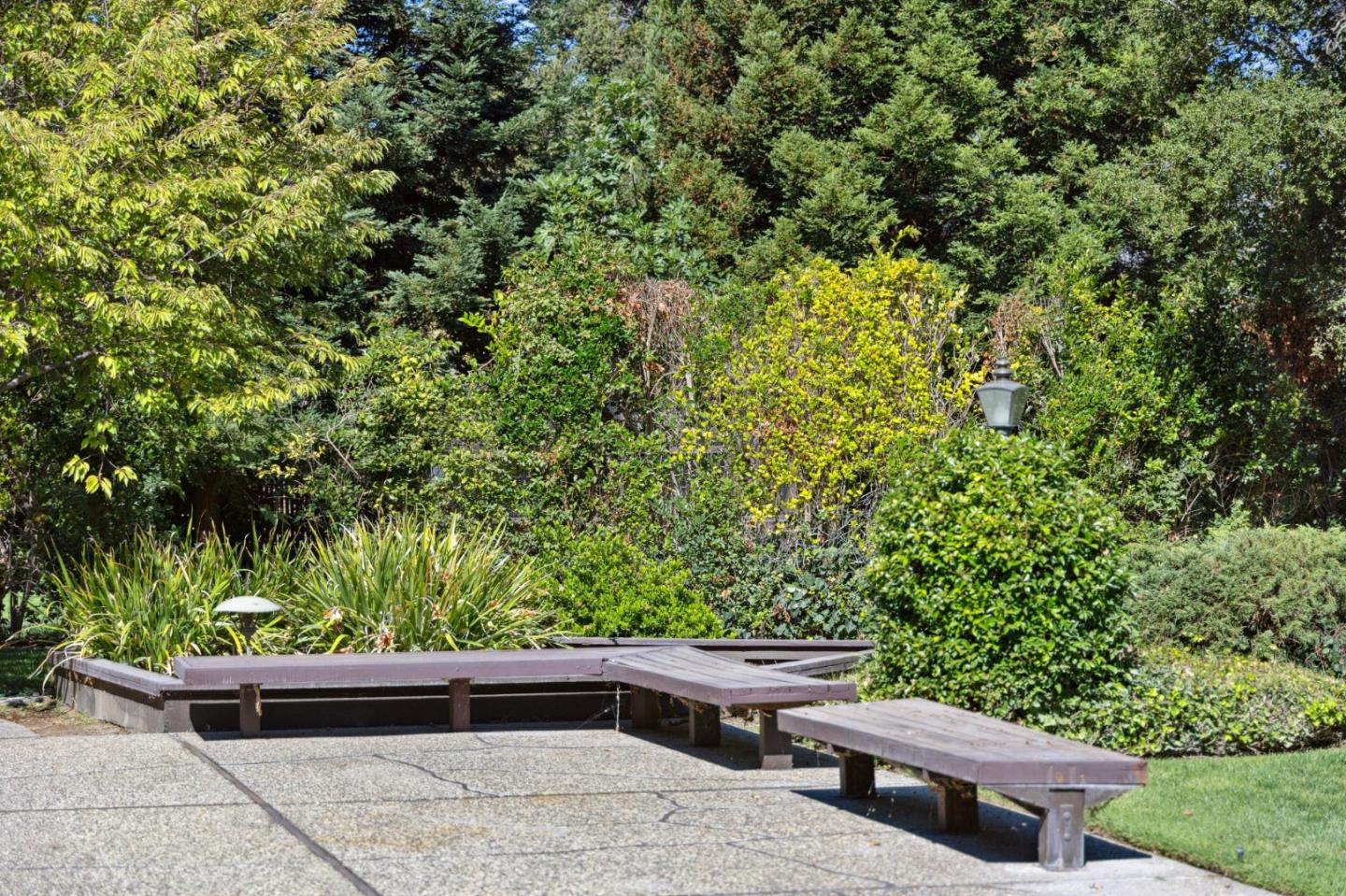 243 Selby Lane Atherton, CA 94027 - Photo 67 of 90 a view of a yard with plants