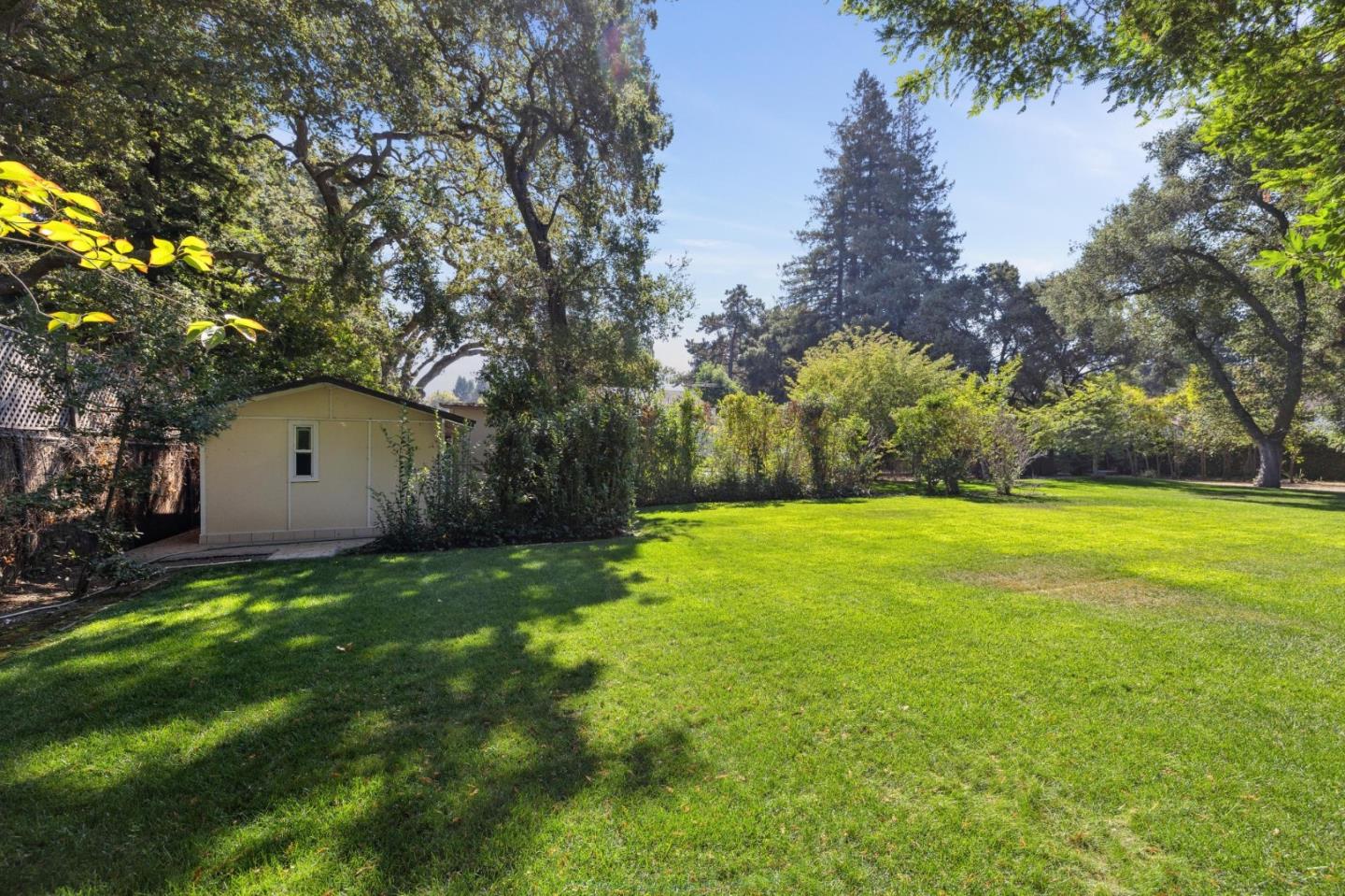 243 Selby Lane Atherton, CA 94027 - Photo 73 of 90 a view of a backyard with large trees